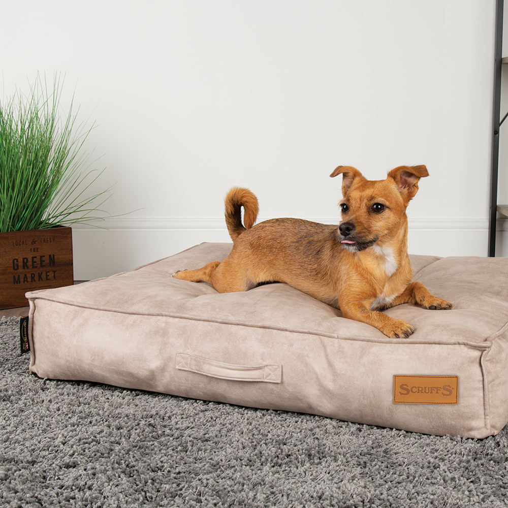 Kensington Dog Mattress (Cream, Grey, Navy or Chocolate) by Scruffs
