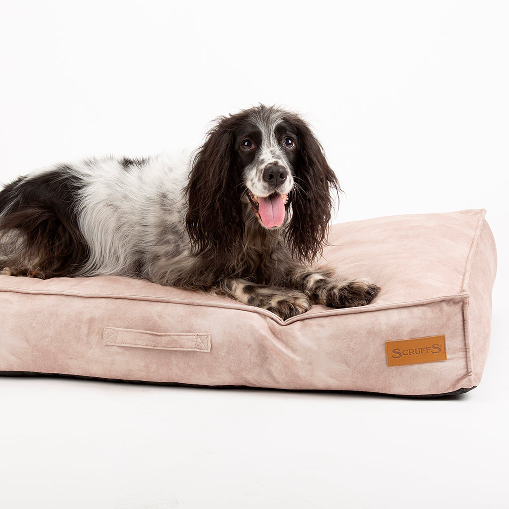 Kensington Dog Mattress (Cream, Grey, Navy or Chocolate) by Scruffs