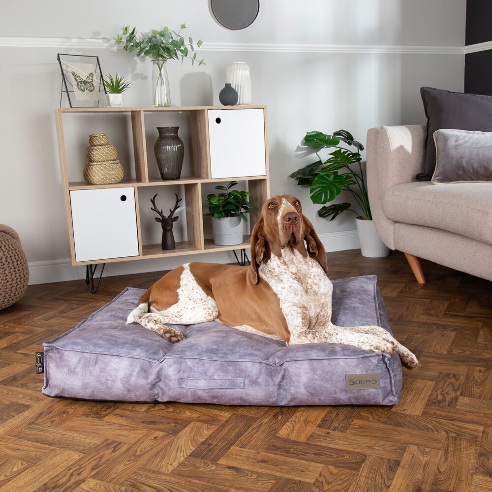 Kensington Dog Mattress (Cream, Grey, Navy or Chocolate) by Scruffs