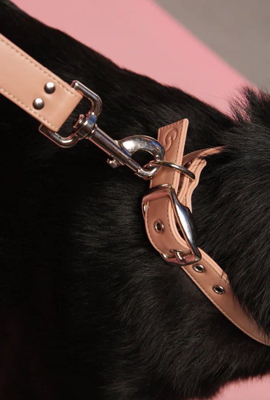 Blush Pink Dog Collar (Vegan Apple Leather) – by Skylos Collective