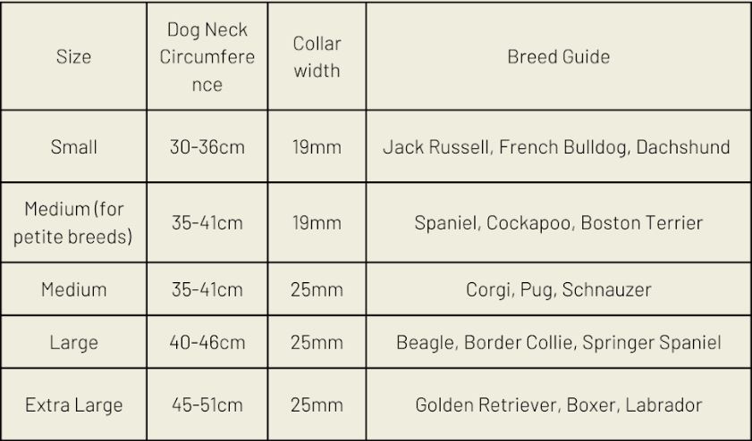 Blush Pink Dog Collar (Vegan Apple Leather) – by Skylos Collective